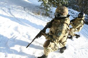 У ДПСУ нагадали, що проводять операцію "Полісся"