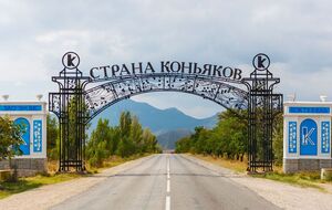 Винзавод "Коктебель" в аннексированном Россией Крыму был продан на аукционе 26 января за $1,456 млн