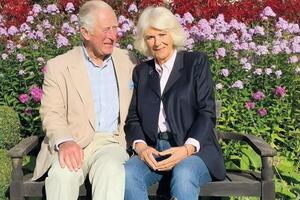 Принц Чарльз и герцогиня Корнуольская Камилла по степени приоритетности вакцинации относятся к четвертой группе