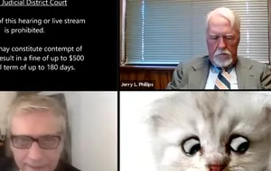 Адвокат появился на онлайн-заседании в образе кота