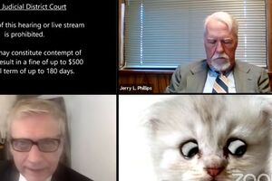 Адвокат з'явився на онлайн-засіданні в образі кота