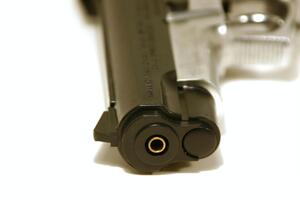 Питання носіння зброї поки що закрите, уточнив Монастирський