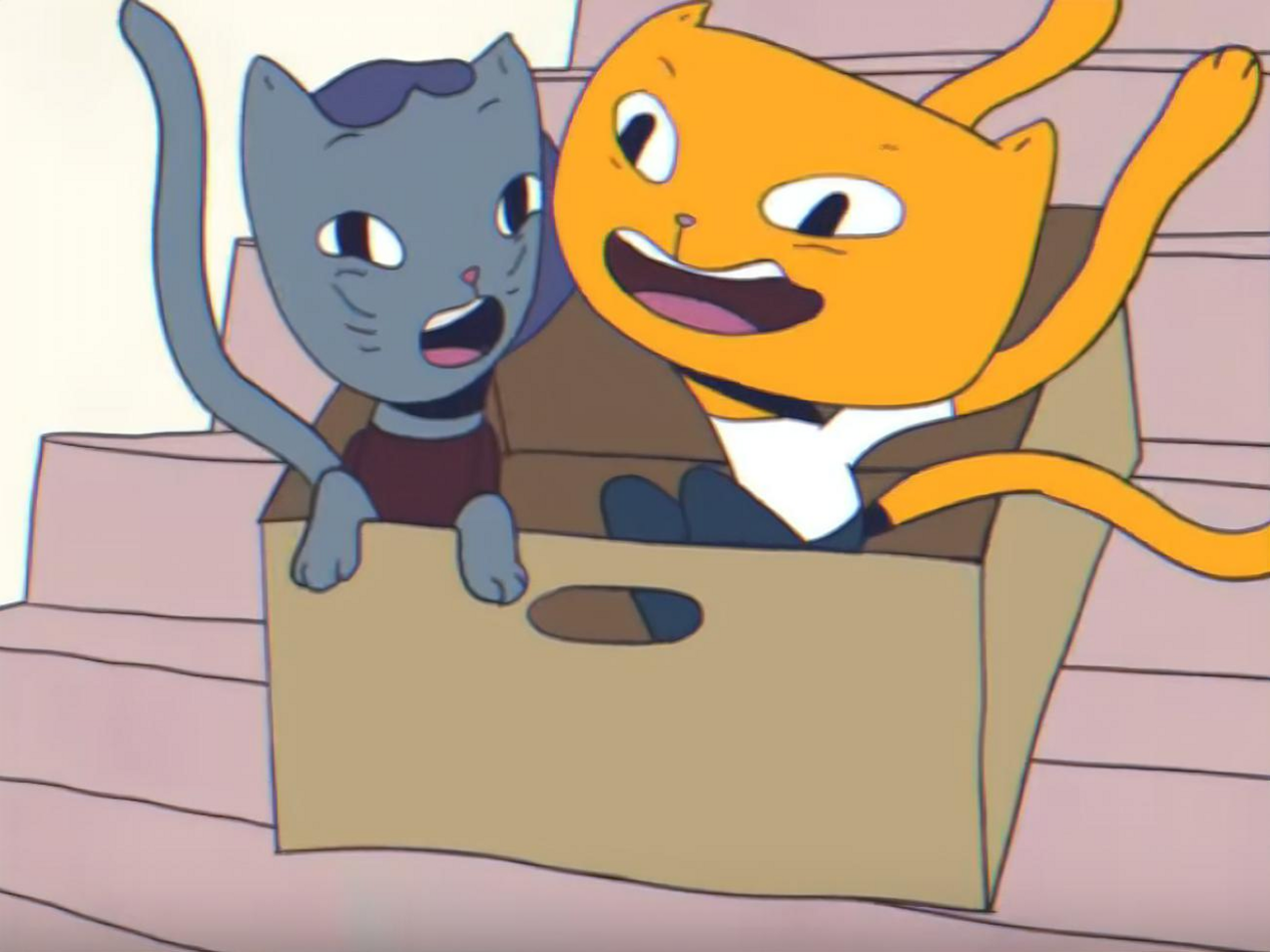 Головними героями ролика стала пара закоханих котів