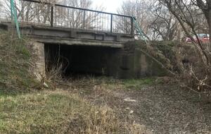 Річка Сарису – ліва притока річки Біюк-Карасу станом на лютий 2021 року