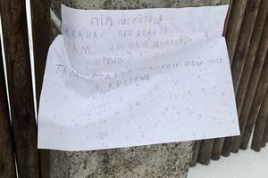 В день публикации объявления на канал были подписаны 13 человек