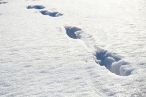 Мужчина заявил, что к его дому на легковом транспорте не проехать