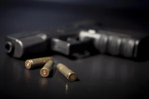 Зеленський вважав передчасною легалізацію обігу зброї