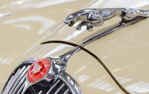 До 2025 року всі автомобілі Jaguar будуть на електричних акумуляторах