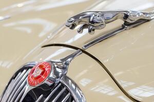 К 2025 году все автомобили Jaguar будут на электрических аккумуляторах