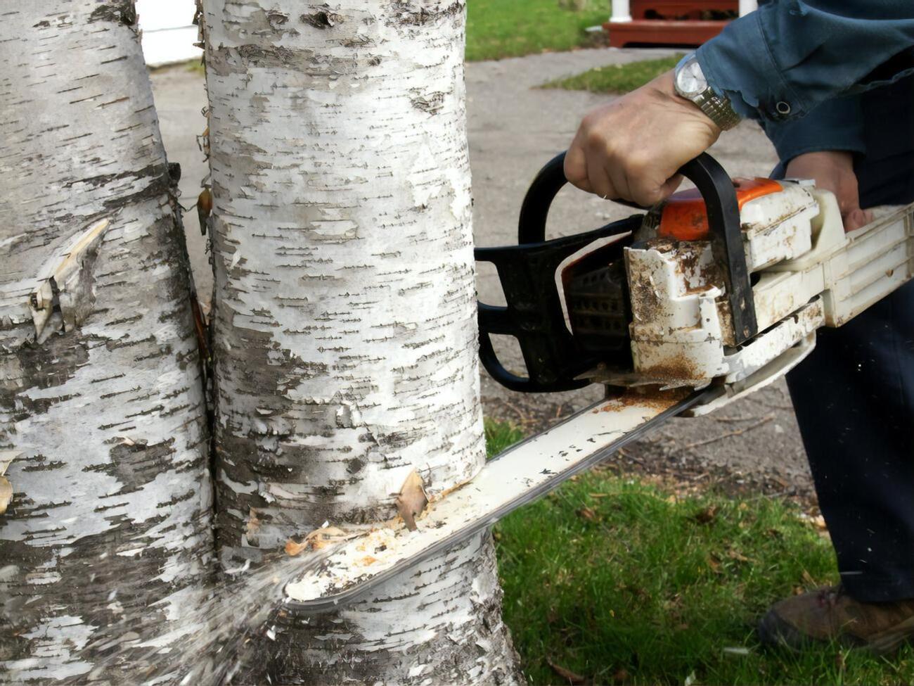 В Украине&nbsp;будут следить за&nbsp;незаконной вырубкой леса с помощью аэрокосмической съемки&nbsp;