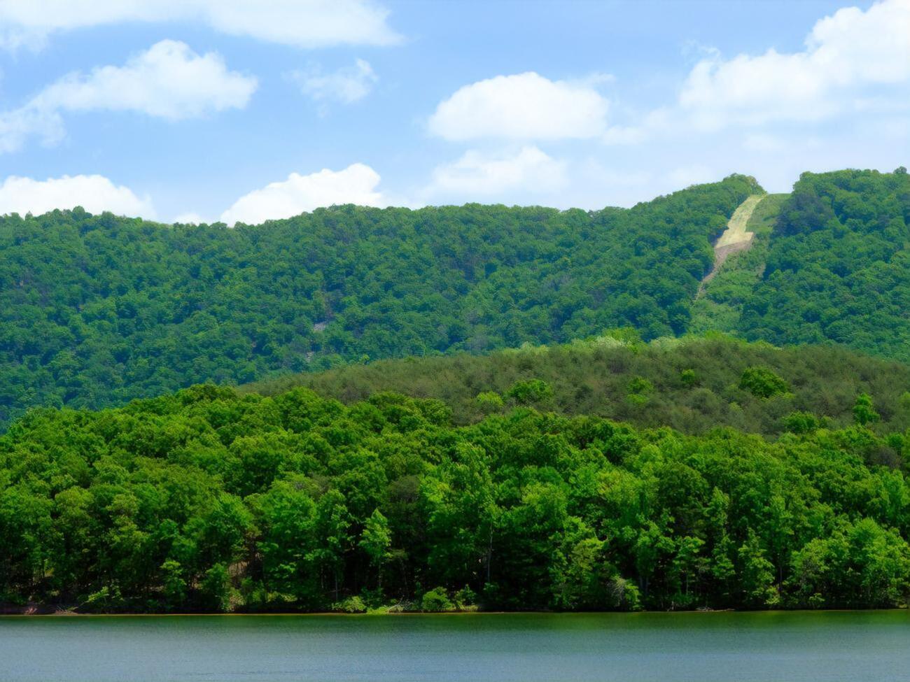 "Пуща Радзівіла" збільшить природно-заповідний фонд Рівненської області на 1%