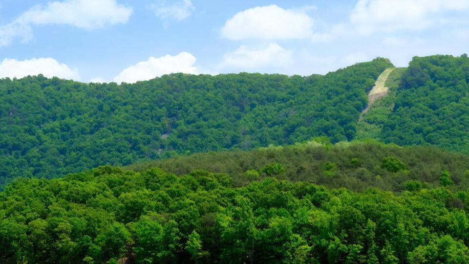 "Пуща Радзівіла" збільшить природно-заповідний фонд Рівненської області на 1%