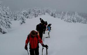 У зимовому поході в Карпатах було "дійсно важко і дуже холодно", зазначив американський офіцер