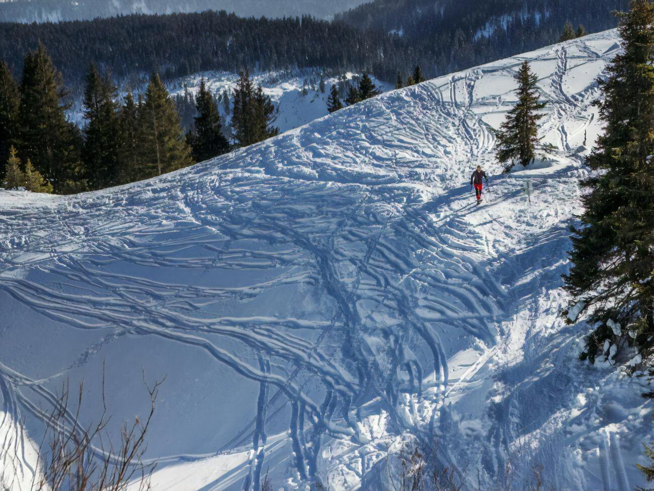 Зниклий турист катався на лижах на схилі гори Гемба