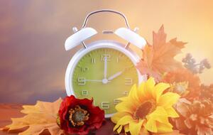 По мнению автора законопроекта, сезонный перевод часов негативно влияет на биоритмы человека