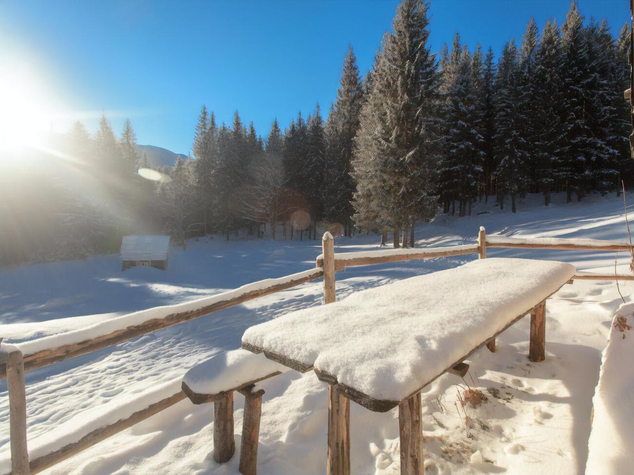 20-го і 21 лютого в Карпатах прогнозують помірний сніг