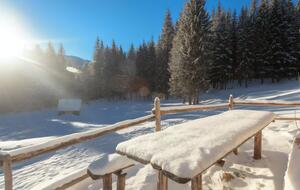 20-го і 21 лютого в Карпатах прогнозують помірний сніг