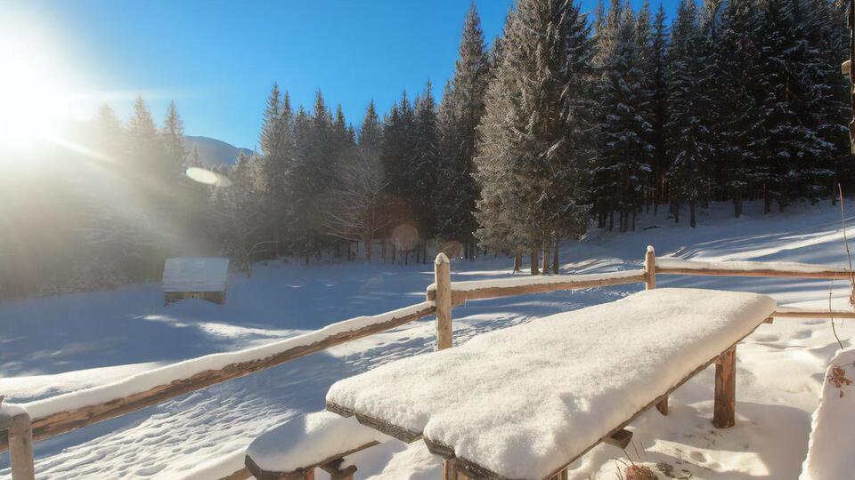 20-го і 21 лютого в Карпатах прогнозують помірний сніг