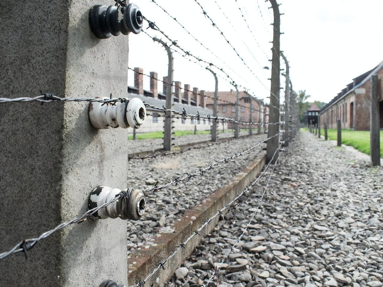 Міністерство юстиції США розслідувало і виграло справи проти 109 нацистських пособників