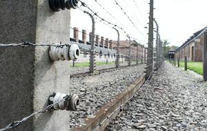 Министерство юстиции США расследовало и выиграло дела против 109 нацистских пособников