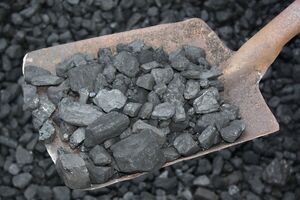 Угля собственной добычи для компенсации работы АЭС недостаточно, поэтому единственным выходом был импорт топлива, отметил эксперт