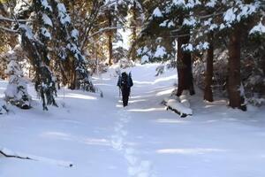 Зниклий турист катався на лижах на схилі гори Гемба
