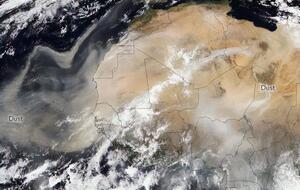 Щорічно сильні сезонні вітри видимають із пустелі Сахара понад 180 млн тонн пилу