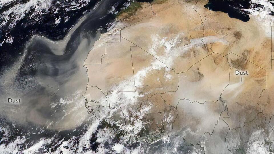 Щорічно сильні сезонні вітри видимають із пустелі Сахара понад 180 млн тонн пилу