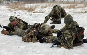 Крым был оккупирован Россией весной 2014 года