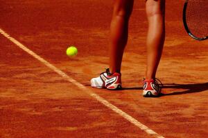 WTA опублікувала оновлений рейтинг