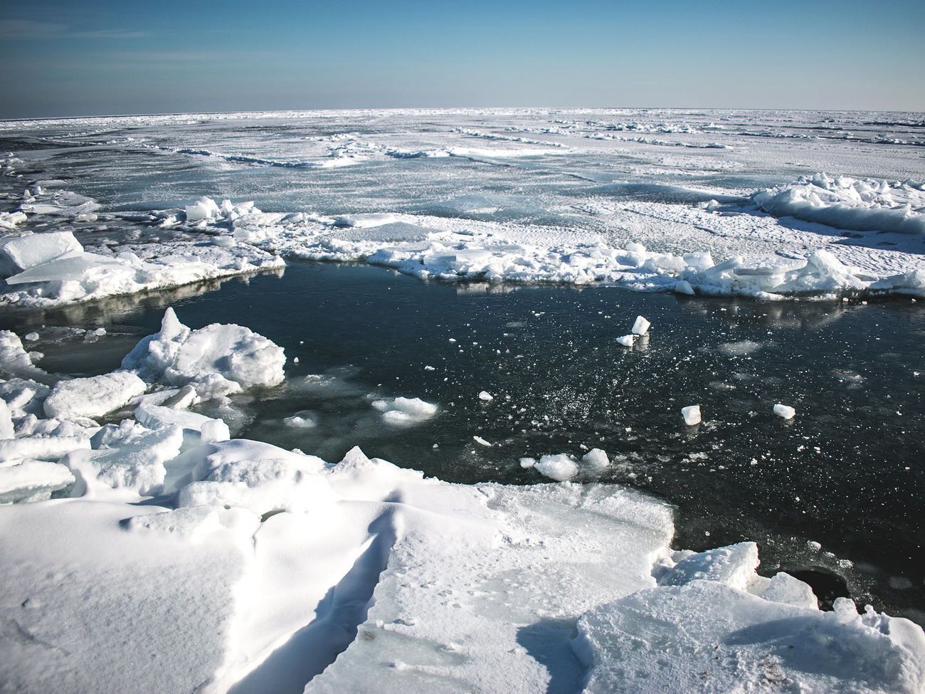 "Арктика? Нет!" В сети показали заснеженную Бердянскую косу. Фоторепортаж