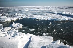 "Арктика? Ні!" У мережі показали засніжену Бердянську косу. Фоторепортаж