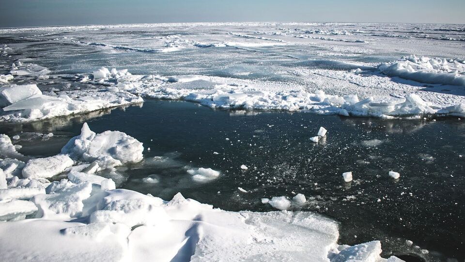 "Арктика? Нет!" В сети показали заснеженную Бердянскую косу. Фоторепортаж