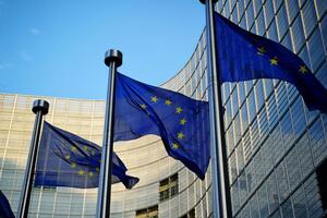 За санкции против РФ выступали, в частности, главы МИД Германии и Австрии