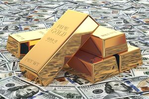 В 2020 году доля золота в резервах Центрального банка РФ впервые превысила долю доллара