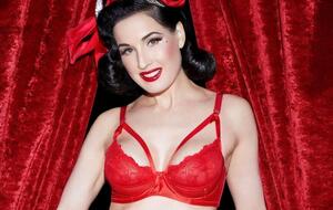 Дита фон Тиз: Обнародованные подробности не относятся к моему личному опыту