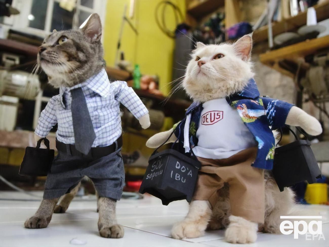 Нардепи підтримали законопроєкт, що стосується тварин