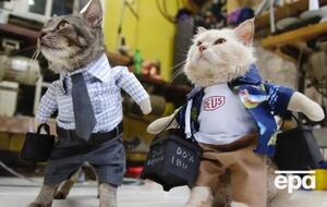 Нардепи підтримали законопроєкт, що стосується тварин