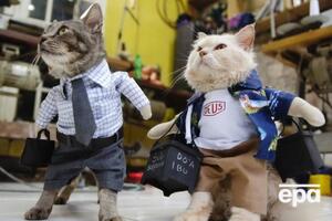 Нардепы поддержали законопроект, который касается животных