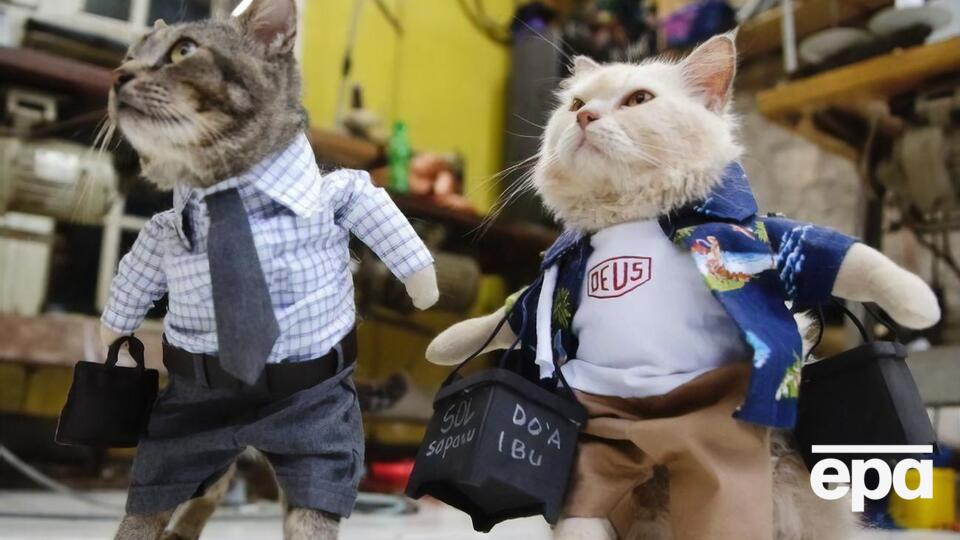 Нардепи підтримали законопроєкт, що стосується тварин