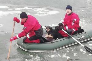 Спасательную операцию удалось провести лишь, когда с берега ушли все зеваки