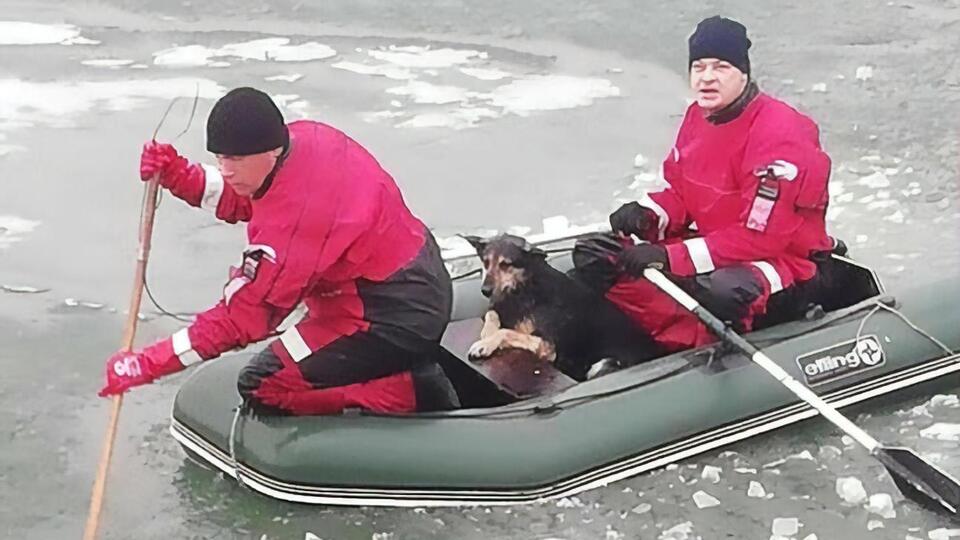 Рятувальну операцію вдалося провести лише, коли з берега пішли всі роззяви