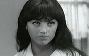 Іваненко й Висоцький почали зустрічатися 1966 року