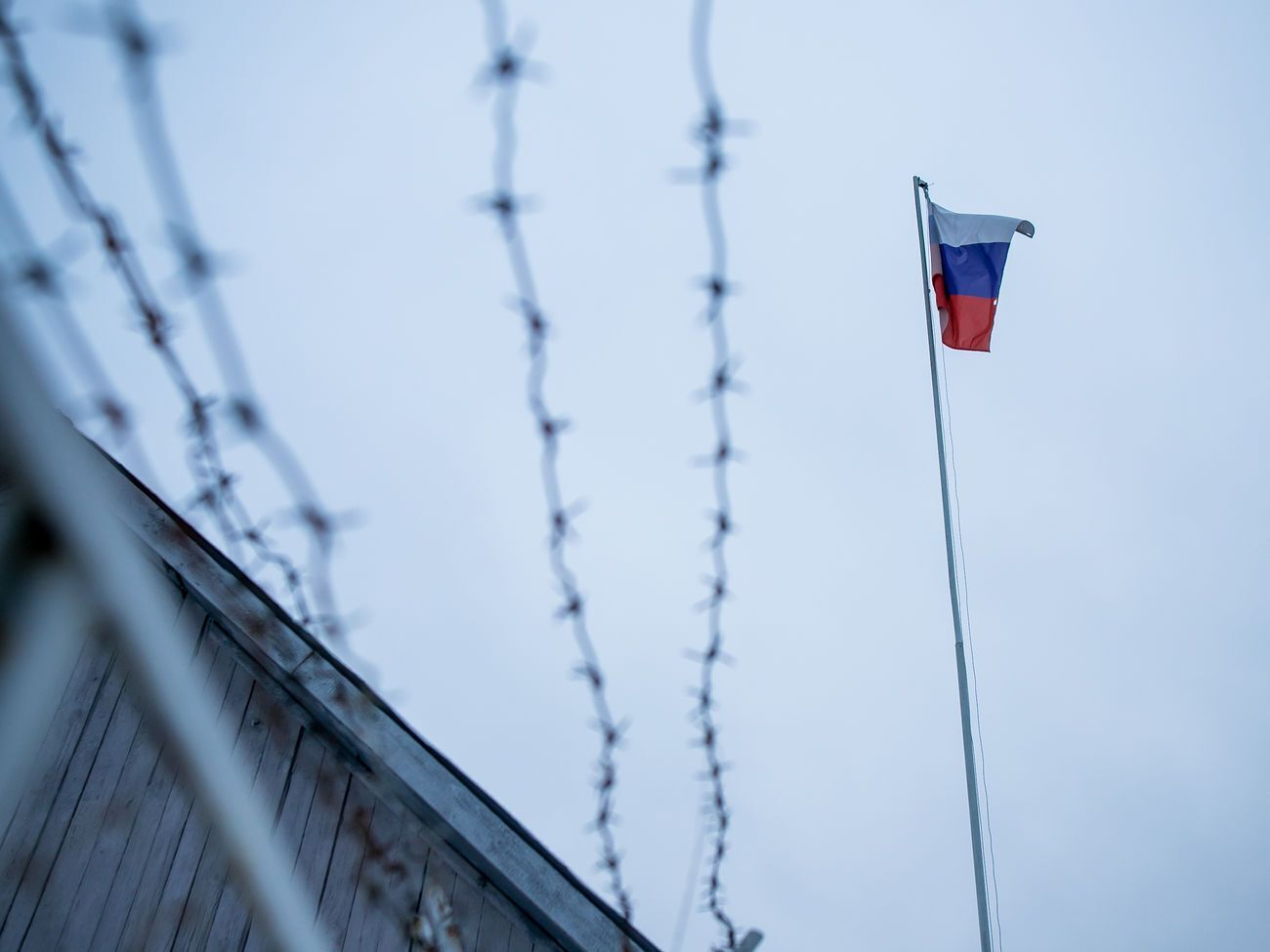 Росія оголосила персонами нон ґрата співробітників дипмісій Швеції, Польщі та Німеччини за те, що вони нібито брали участь у мітингах