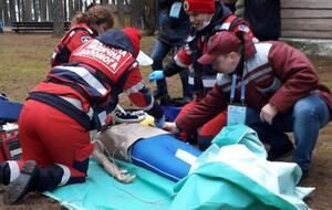 В пилотном проекте принимали участие шесть регионов