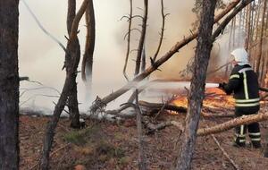 Пожары в Луганской области начались 6 июля