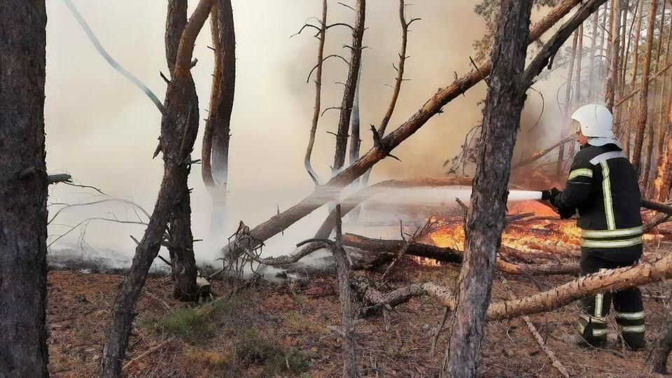 Пожары в Луганской области начались 6 июля