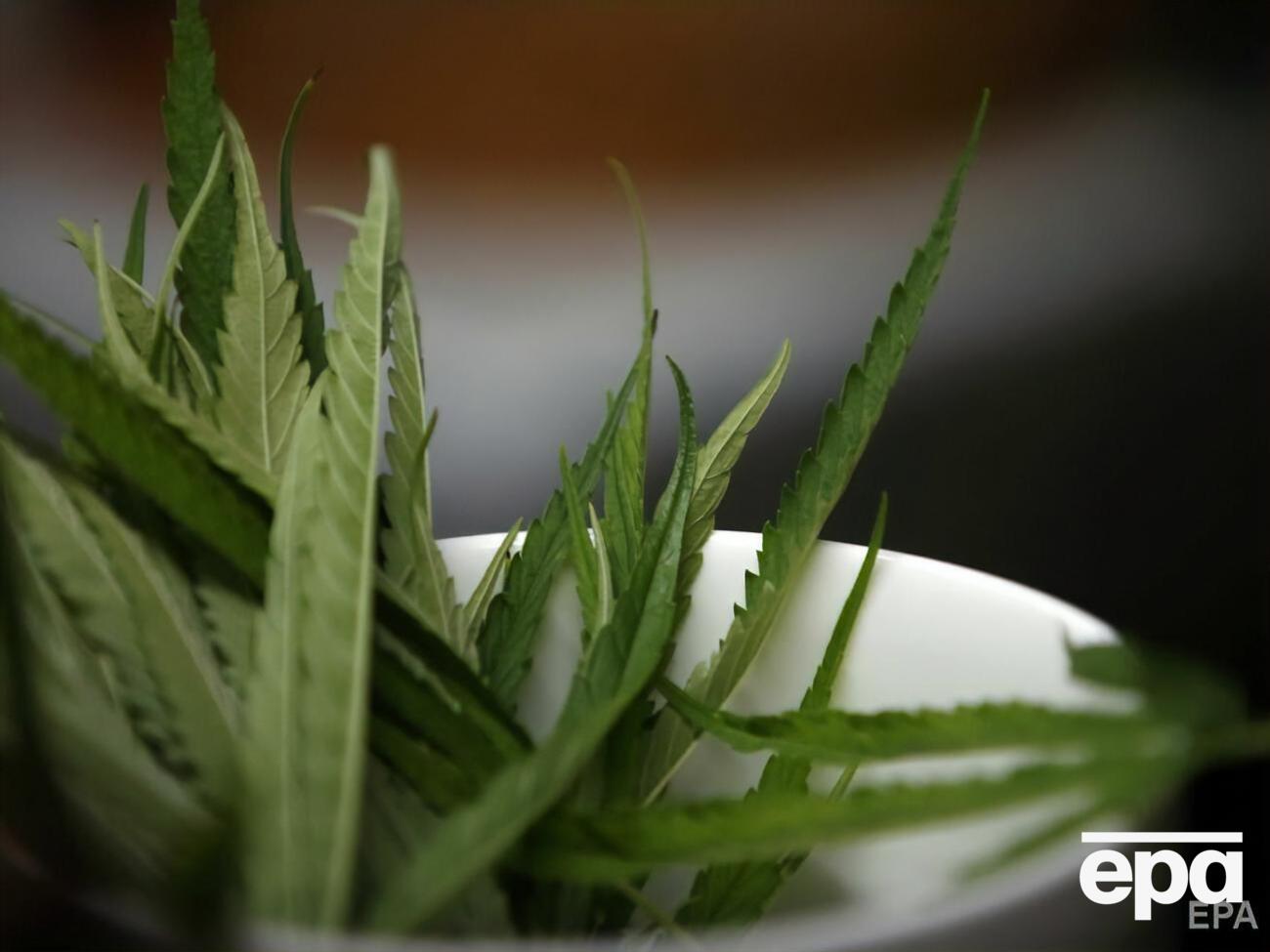 Закон вступит в силу в 2024 году