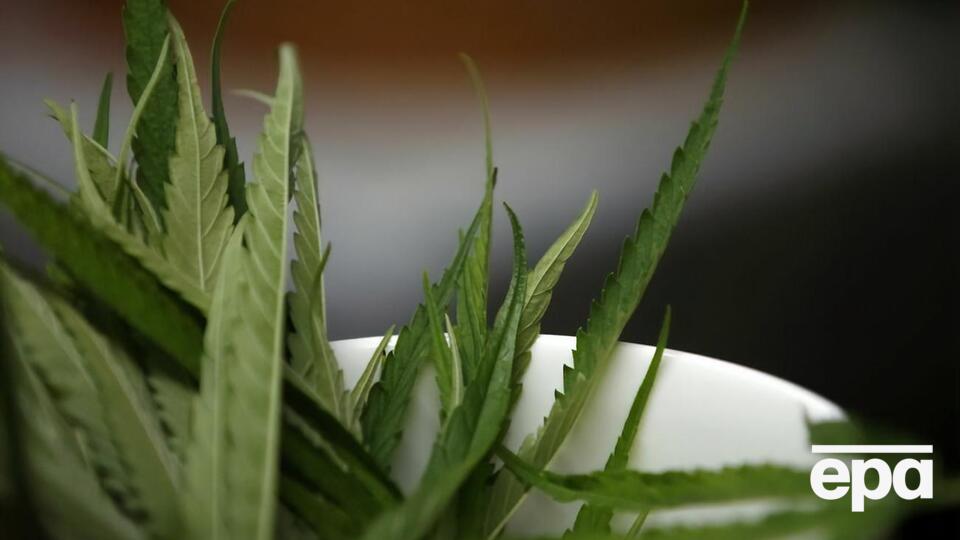 Закон вступит в силу в 2024 году