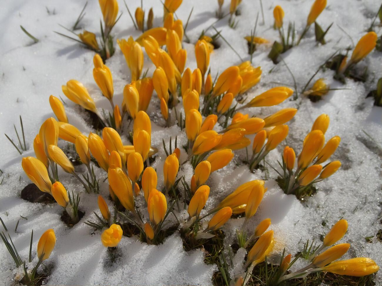 В Прикарпатье синоптики обещают потепление до +15 &deg;С